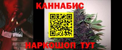 стафф Бийск