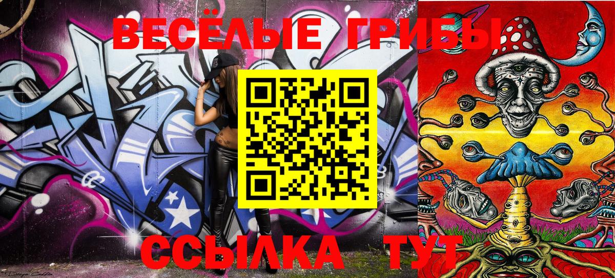 Галлюциногенные грибы Psilocybe  купить закладку  Карачаевск  Вход с VPN 